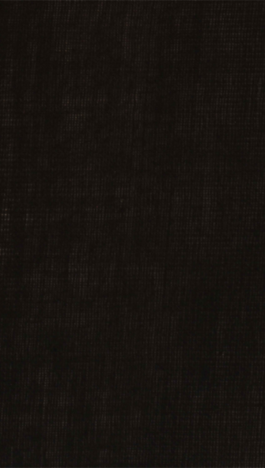 black_web_53341038