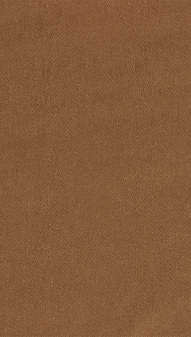 camel_web