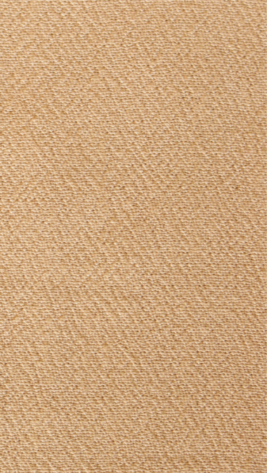 camel_web_625966035