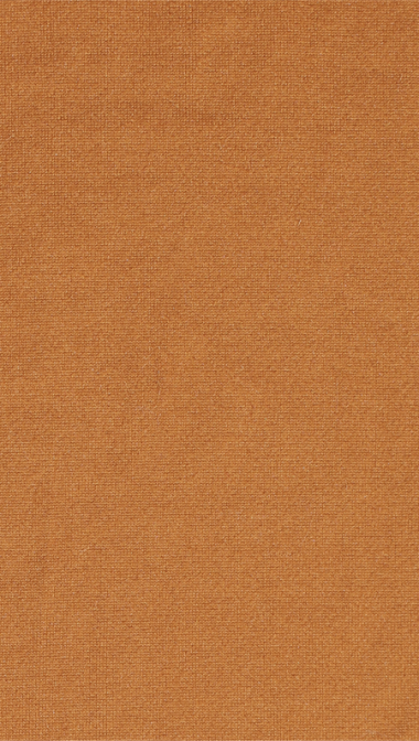 cinnamon_web_1238788070