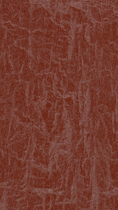 cinnamon_web_2034682196