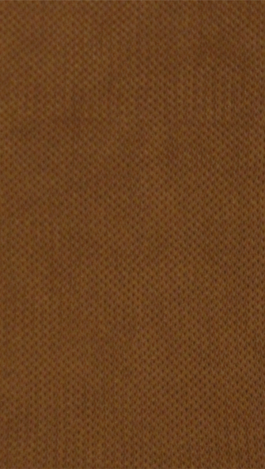 cinnamon_web_22759239