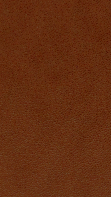 cinnamon_web_248674901