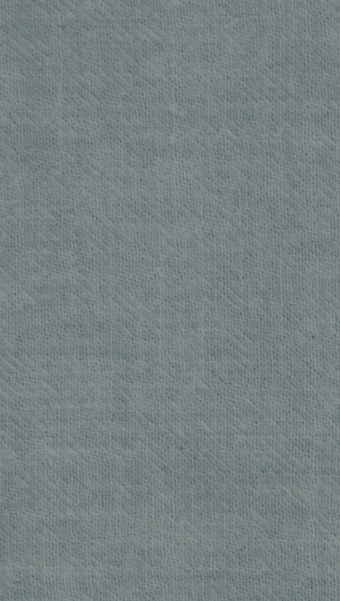 mint_web_1388253527